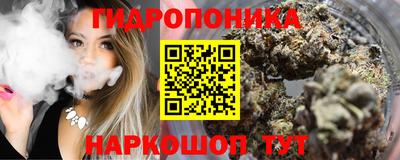 дурь Кингисепп