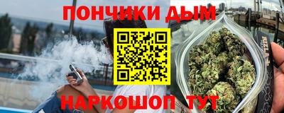 дурь Кингисепп